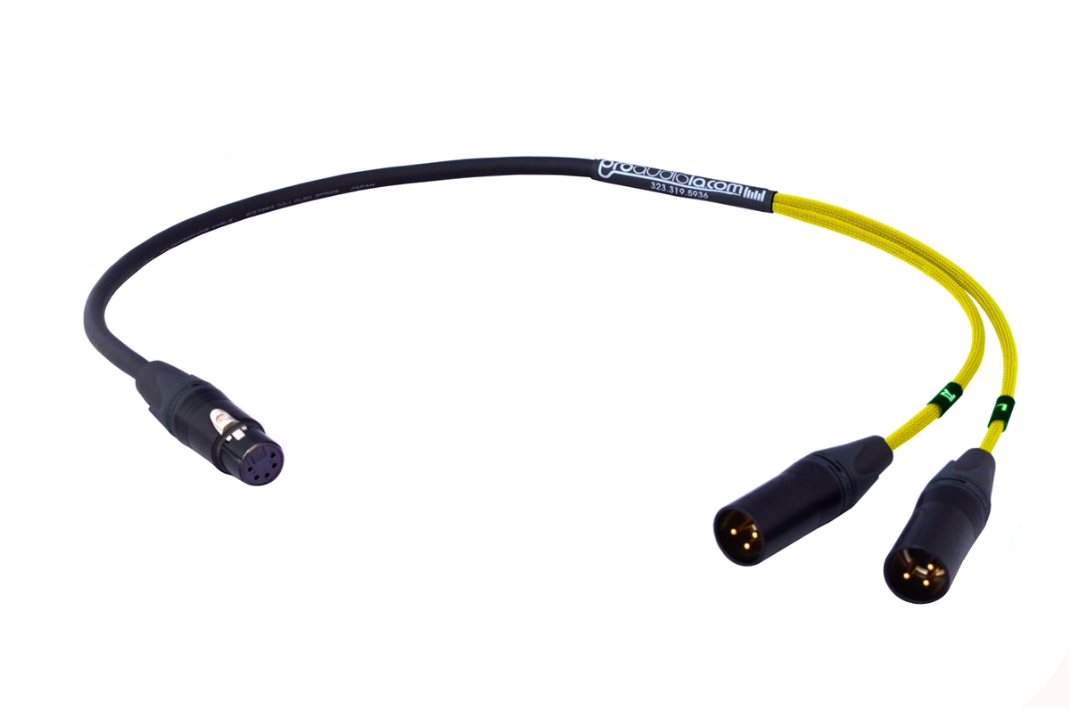Universal Audio LX/DLX Stereo Microphone Cable | XLR-Female 5 Pin to Dual 3 Pin XLR-Male | Yellow 55 ft. Image 1